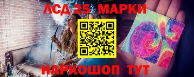 гидропоника Можайск