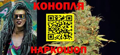 стаф Моздок