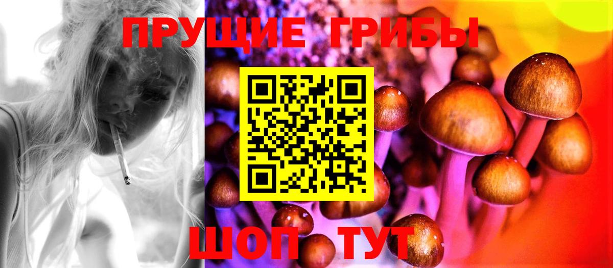 Псилоцибиновые грибы Cubensis  закладка  Вход с VPN  Бугульма  Псилоцибиновые грибы MAGIC MUSHROOMS 
